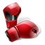 Boxing Logo